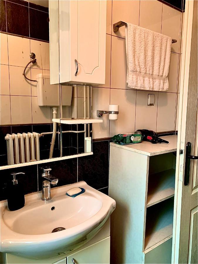 Apartman Danube ノヴィ・サド エクステリア 写真