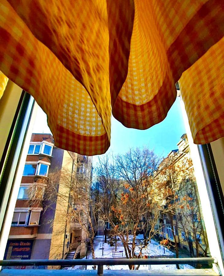 Apartman Danube ノヴィ・サド エクステリア 写真